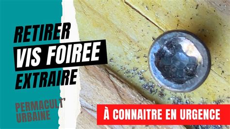 Clé Pour Vis Inviolable TORX T10 Acier zingué 30 pièces Leroy Merlin