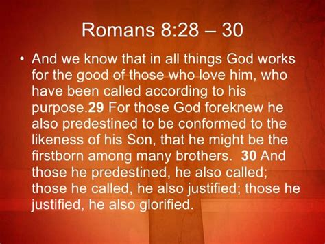 commentary on romans 8 28 30