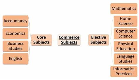 What are Main Subjects in 11th Commerce? Complete List | Fintrakk