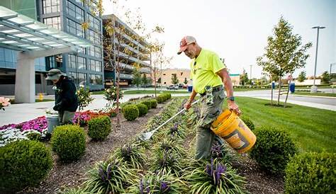 Commercial Landscaping in South Miami | Frank's Lawn & Tree Service