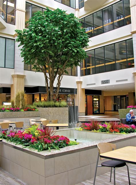 Commercial Silk Trees