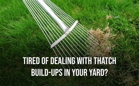 commercial turf companies near me