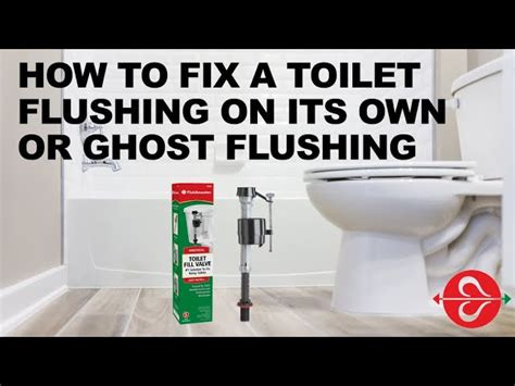 Commode Makes Noise When Flushed