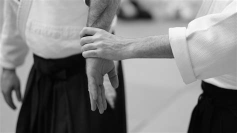 common aikido techniques and ti