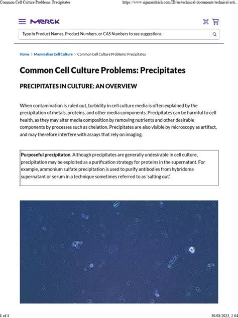 Common Cell Culture Problems Precipitates