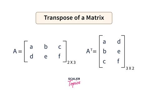 Commonly Faced Challenges in Transposing Matrices
