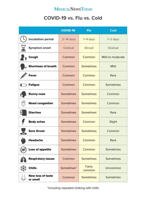 How Long Are You Contagious with the Common Cold: Timeline and Prevention Tips