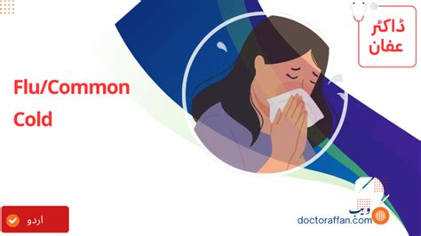 common cold meaning in urdu with example