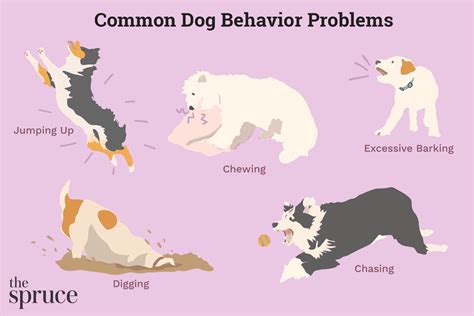 common dog behavior problems