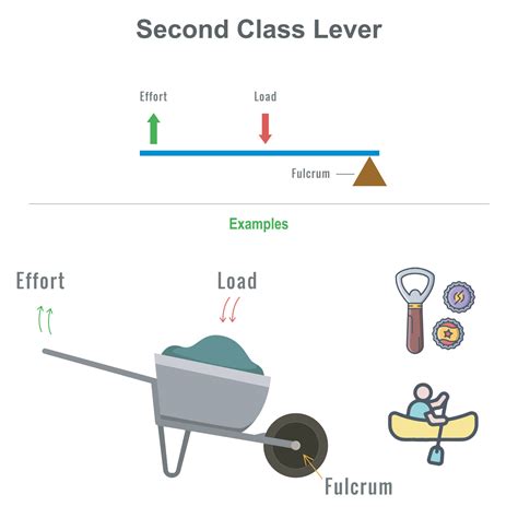 Common Example Of A Second Class Lever
