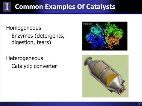 Common Examples Of Catalysts