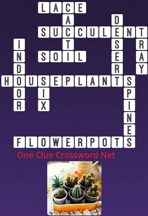 common houseplant crossword clue
