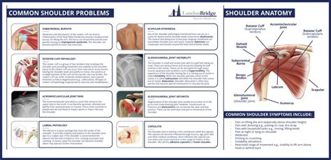 Common Issues in Movement Mechanics