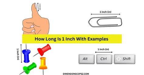 Common Items That Are 1 Inch