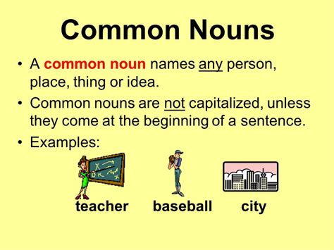 common noun definition for kids examples