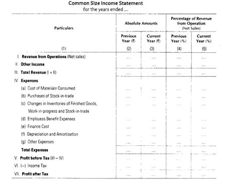 common size statement format class 12