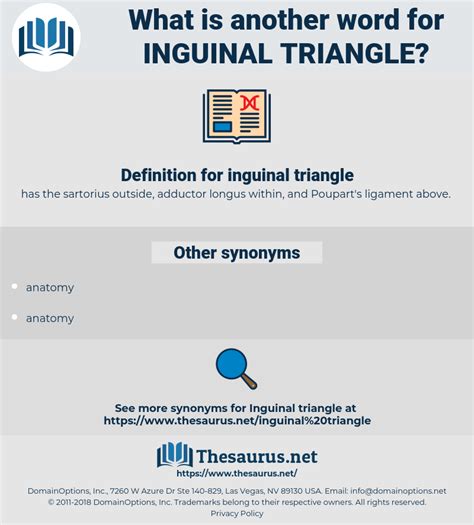 common word for inguinal