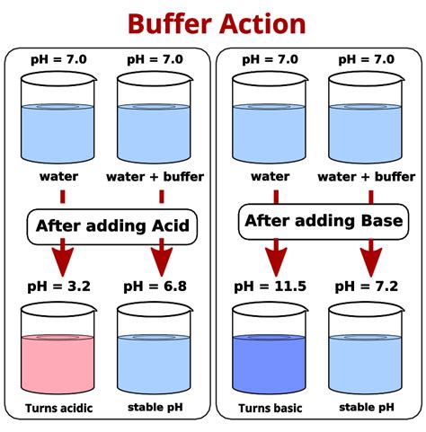 Commonly Used Buffer Solution