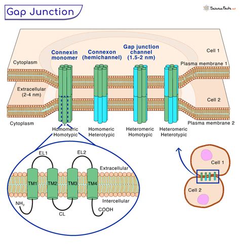 Communicating Junctions Definition
