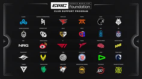 community support esports