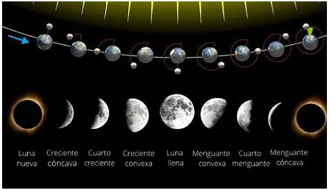 Nombres de las fases de la luna vistas desde el hemisferio norte de la