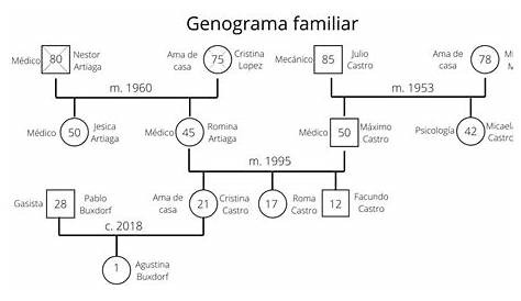 Genograma - WikicharliE