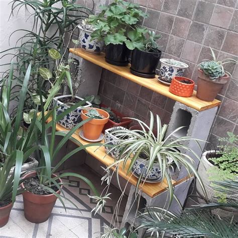 Como Acomodar Mis Macetas