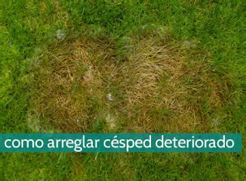 Como Arreglar Cesped
