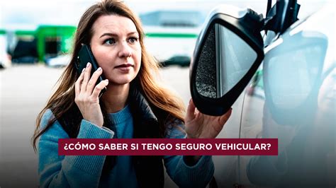 como checar si mi carro tiene seguro