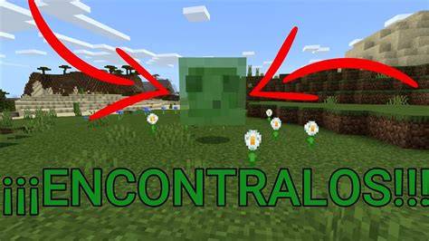 Tutorial GRANJA de SLIMES Simple 1.16 ¿Cómo encontrar un CHUNK de