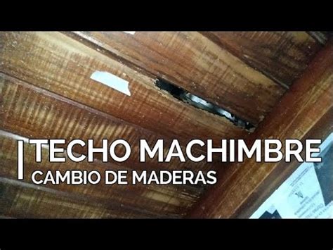 Como Curar Machimbre