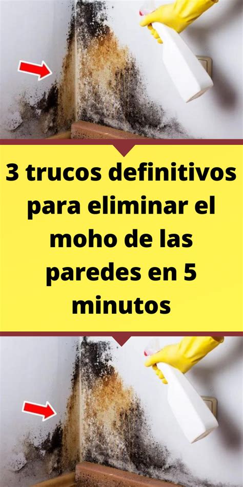 Como Desaparecer El Moho