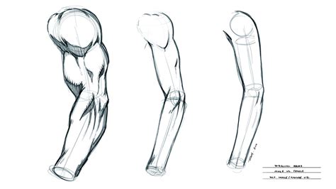 COMO DIBUJAR BRAZOS 1°PARTE TUTORIAL DE DIBUJO BGM94 YouTube