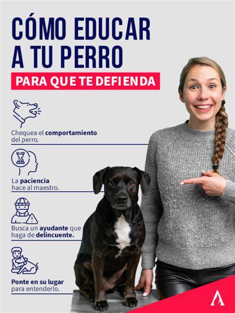 Pin em Razas de Perros