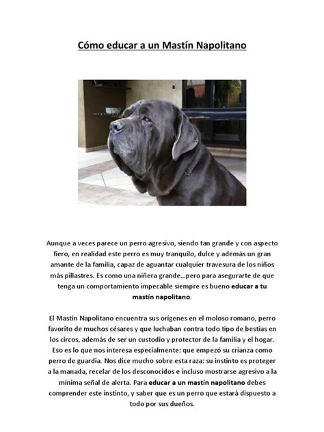 About Como Educar A Un Mastin Latest