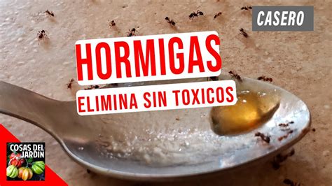 como eliminar las hormigas dentro de la casa