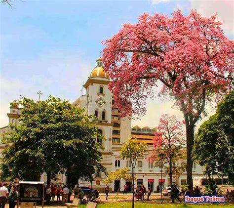 como es ibague tolima