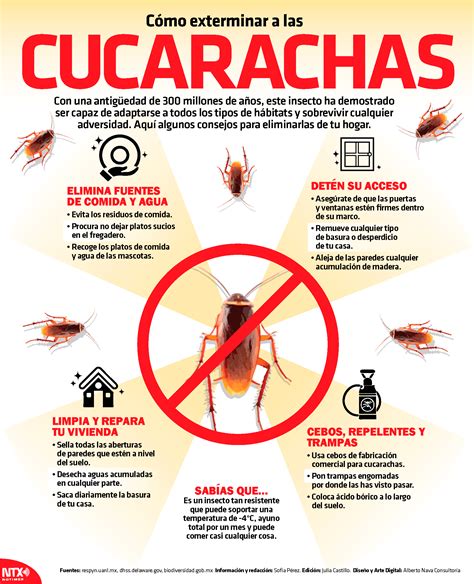 Como Exterminar Lauchas