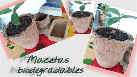 Como Hacer Macetas Con Aserrin