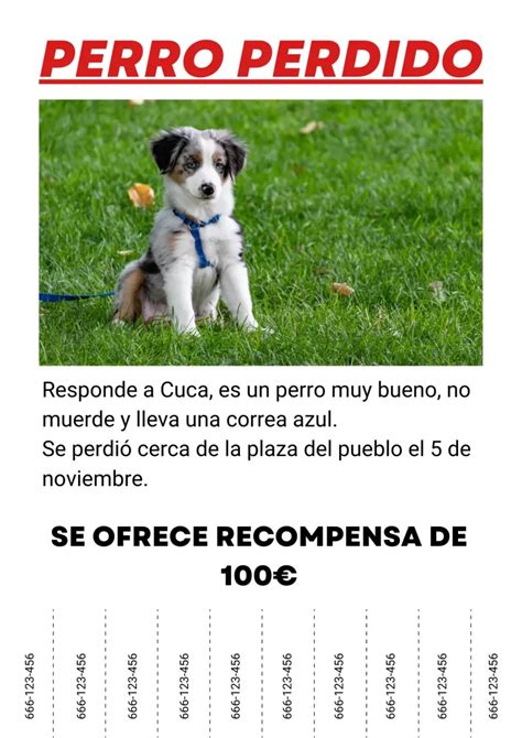 como hacer un cartel de perro perdido