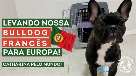 como levar um cachorro para portugal