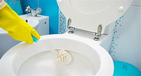 Como Limpiar El Wc