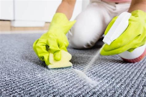 Como Limpiar Moquette