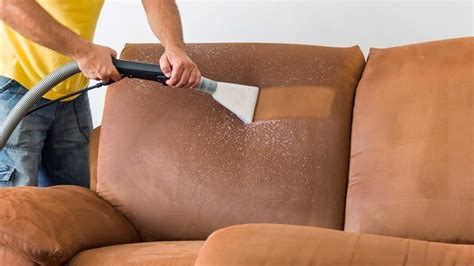 Como Limpiar Sof De Tela Con Amoniaco