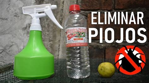 Como Matar A Los Pericotes