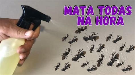 Como Matar Ratoncitos