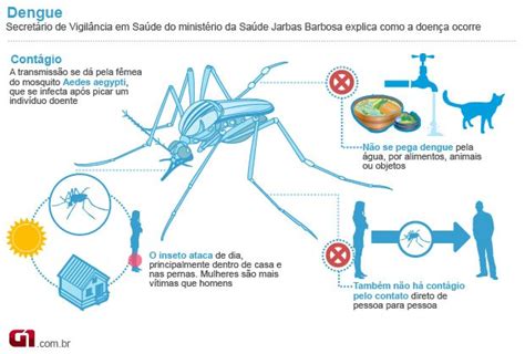 como o mosquito da dengue se contamina