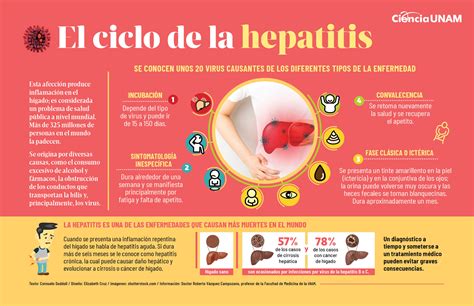 como que pega hepatite b