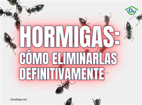 Como Quitar Hormigas