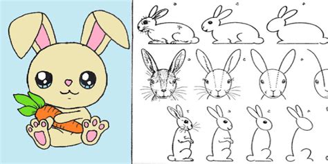 como se desenhar um coelho
